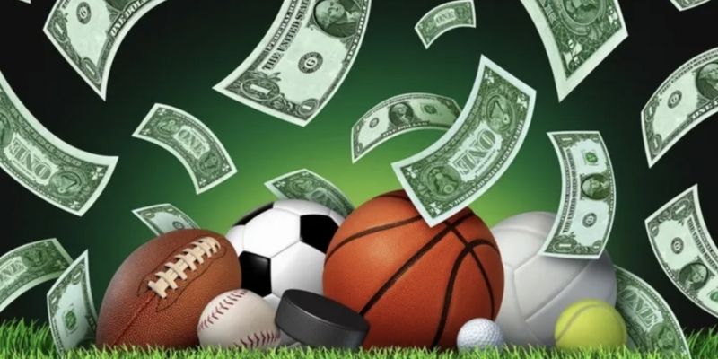 Khám phá những bộ môn chơi sôi động